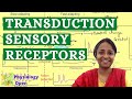 Sensory transduction | Sensory Physiology mbbs 1st year lectures | CNS Physiology