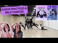 ENHYPEN (엔하이픈) ‘Given-Taken’ + 'Drunk-Dazed' Dance Practices \u0026 Relay Dances Reaction