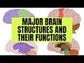 Major Brain Structures and Their Functions