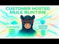 MuleSoft Runtime in Docker | Implementing Anypoint Clustering Step by Step