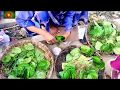Amazing Rural Village Betel leaf, betel nut, Tobacco leaf market in bangladesh