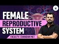 female reproductive system | Female reproductive parts and functions | Female reproductive organ