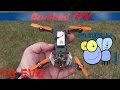 F3 EVO Brushed FPV Racer at the park
