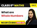 What are Whole Numbers - Whole Numbers | Class 6 Maths