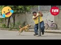 Funny \u0026 Hilarious People Life 😆 #435 | TRY NOT TO LAUGH CHALLENGE 😂 | Funny Videos Compilation 2025