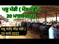 ਪਸ਼ੂ ਮੰਡੀ | ਮੌੜ ਮੰਡੀ | 20 ਮਾਰਚ 2022 | पशु मंडी | मौड़ मंडी | 20 मार्च 2022 । pashu Mandi | Farmer TV |