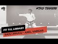 Saju Jirugi (TKD Tekkers)