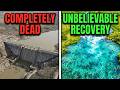 The U.S. Most Dammed River Was Dying — They Removed Every Dam and What Happened Was Unbelievable