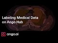 Labeling Medical Data on Ango Hub - Walkthrough