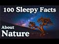 The Most Relaxing Nature Facts to Fall Asleep To