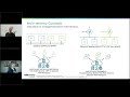 NSX VPC: The Network Consumption Model for Private Cloud