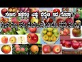 Don't Miss it | Health Benefits of Eating Apple In Kannada | Food Media