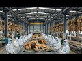Inside the Lion Leather Factory – How Million Dollar Goods Are Made  Complete Process