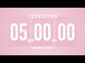 5 Hour Countdown Timer 🌸 Flip Clock with Simple Beeps 🔔