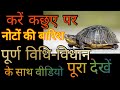 करें कछुए पर नोटों की बारिश पूर्ण विधि-विधान के साथ  kachhua par noton ki barish kaise hoti hai