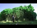 Full video! Cleaning Up and Restoring the Wild House Full of Weeds | INNOVATION AND TRANSFORMATION