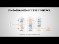 Fine grained access control with microapps