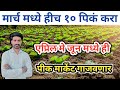 मार्च मध्ये हीच १० पिकं करा, विक्रमी भाव मिळणार / march april pike / उन्हाळी पिके / भाजीपाला पिके