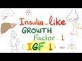 Insulin-like growth factor (IGF-1) - Somatomedin C - GH- Dwarfism, Gigantism, Acromegaly - Endocrine
