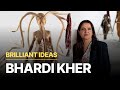 Brilliant Ideas | Bharti Kher | Contemporary Indian Art
