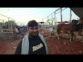 City Haat Situation | Rajshahi City Haat | The Cattle Lens