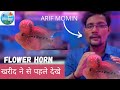Easy Care tips for Flowerhorn Fish|| Arif Momin || How to keep a Flowerhorn || Medicine || Food ||