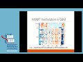 Pancancer analysis using MethylMix 2.0. - Kevin Brennan - Technology Track - ISMB/ECCB 2017