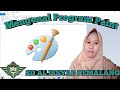 Mengenal Program Paint - Komputer Kelas 4