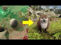 Baldur's Gate 3: How to Hatch the Owlbear Egg?