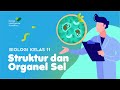 BIOLOGY Grade 11 - Cell Structure and Organelles | GIA Academy