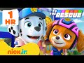 PAW Patrol To The Rescue: Search \u0026 Rescue Missions! #3 w/ Marshall | Nick Jr.