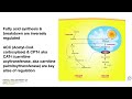 Integrated lipid metabolism – overview/review