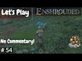 Let's Play Enshrouded, Solo, No Commentary, We Need Fabric