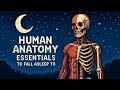 2 Hours of Human Anatomy to Fall Asleep To