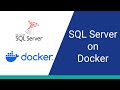 How to Set Up SQL Server with Docker (2024)