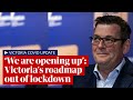 Victoria Covid roadmap out of lockdown: ‘We are opening up’, says premier Dan Andrews