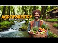 What is AGROFORESTRY..? An overview, Benefits \u0026 Examples