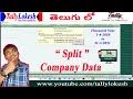 Tally ERP 9 | Split Company Data in Tally Telugu | By Lokesh