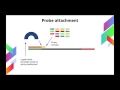Next Gen SOLiD DNA Sequencing Method Explained