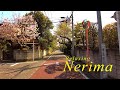 Relaxing walk in Nerima ward (Tokyo, Japan) 4K