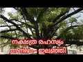 നക്ഷത്ര രഹസ്യം അനിഴം - ഇലഞ്ഞി | ജ്യോതിഷ ഭാരതി