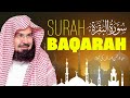 Surah Al-Baqarah – A Recitation That Strengthens the Heart Recitation by Sheikh AbdulRahman AlSudais