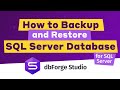 SQL Server: How to make backup and restore database