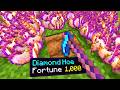 Minecraft, But I Can Fortune Anything..