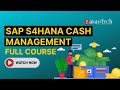 SAP S4HANA Cash Management Full Course | ZaranTech