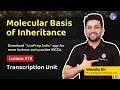 Transcription Unit - Molecular Basis of Inheritance by Wamiq Sir