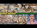 कल्याण कोनगांव सुक्या मच्छीचा बाजार | Dry Fish Wholesale Market In Mumbai | Kalyan Dry Fish Market