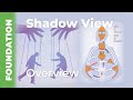 Human Design Celebrity Shadow Chart Breakdown: Uncover the Not-Self