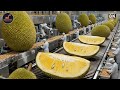 Inside the Jackfruit Fiber Processing Factory - From Fresh Jackfruit to Vegan Meat (full Process)