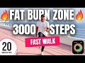 20 Minute Fat Burn Workout - Speed Walk 3000 steps